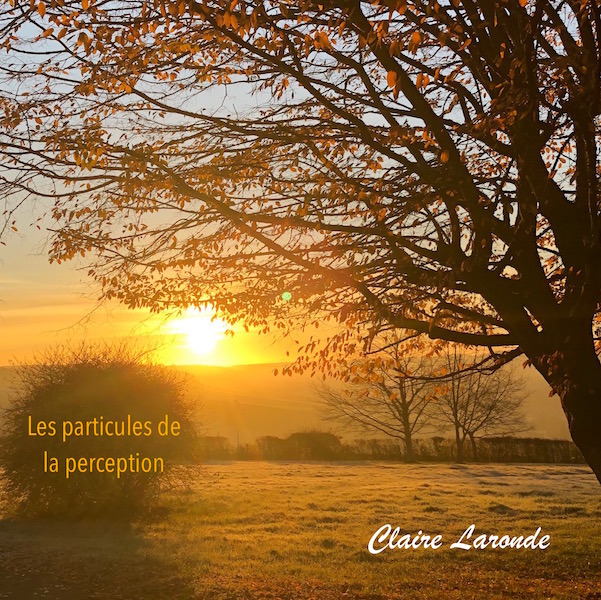 Claire_Laronde_-_les_particules_de_la_perception_-_copie.jpg